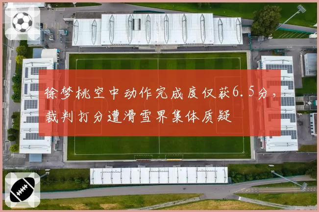 徐梦桃空中动作完成度仅获6.5分，裁判打分遭滑雪界集体质疑